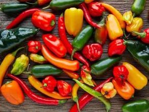 Highlighting Hot Peppers : From Seed to Symbology