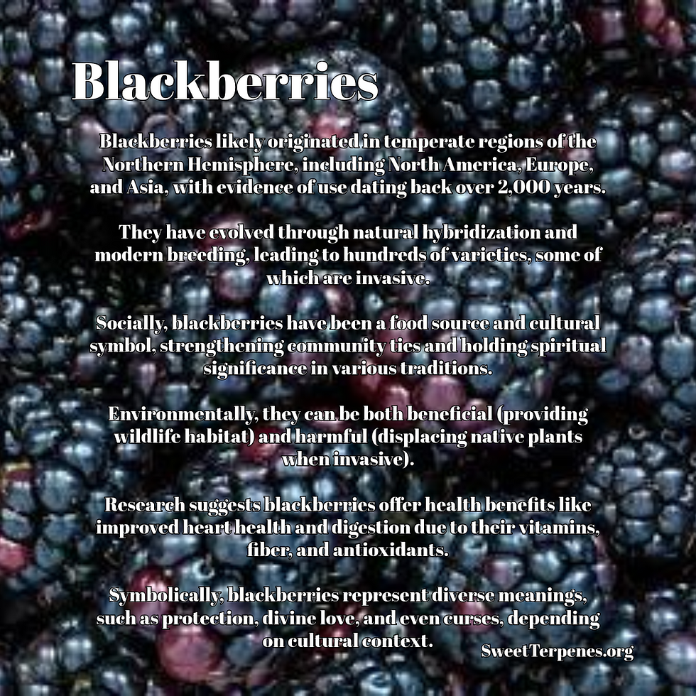 Blackberries