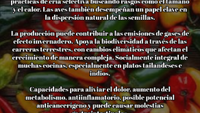 Pimientos Picantes