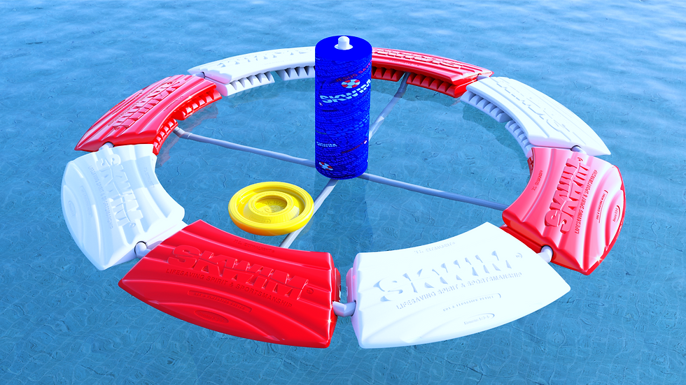 Skwim SoftPlayGoalDiskrev.PNG