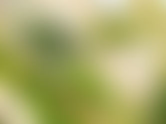 Santa Rosa ganha sua primeira quadra de grama sintética