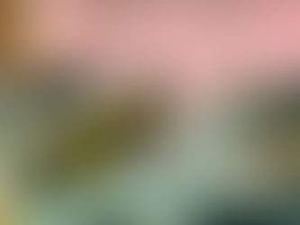 Petecão se reúne com ministro da Defesa e comandantes para debater orçamento do setor deste ano