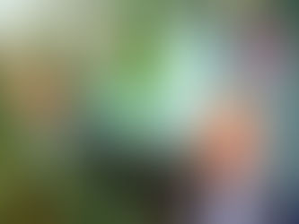 Bancada do Acre garante recurso para revitalização do Centro Comercial Aziz Abucater