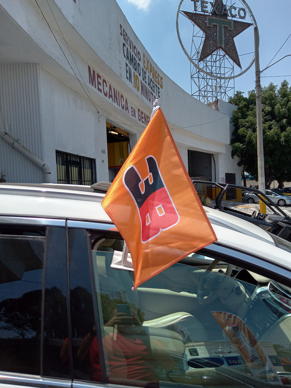 Miniatura: BANDERA INSTITUCIONAL