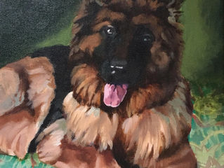 PAWtraits and patterns