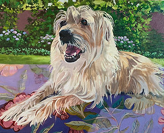 RiesPawtraitStella16x20.jpg