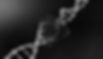 une adn