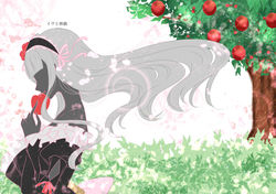 イヴと林檎 (2)