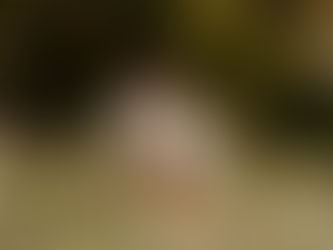 5 Tips for a Stunning Engagement Photo Session at any Botanical Garden