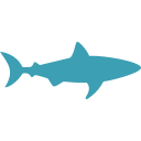 shark-facing-right.png