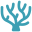 coral.png