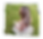 IMG_4218_flipped_v2.png