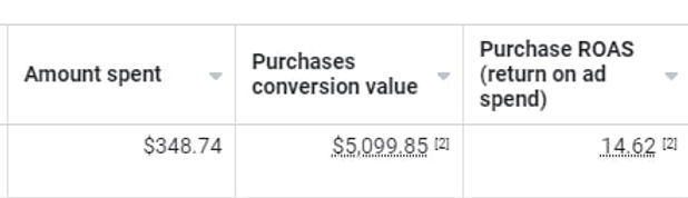 An amazing 15X return on ad spend result I got one of my clients through marketing consulting.