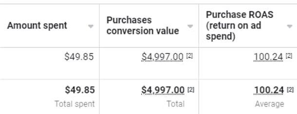 A groundbreaking 100X return on ad spend result I got one of my clients through marketing consulting.