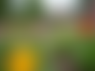 The Importance of Sustainable Living in Today's World