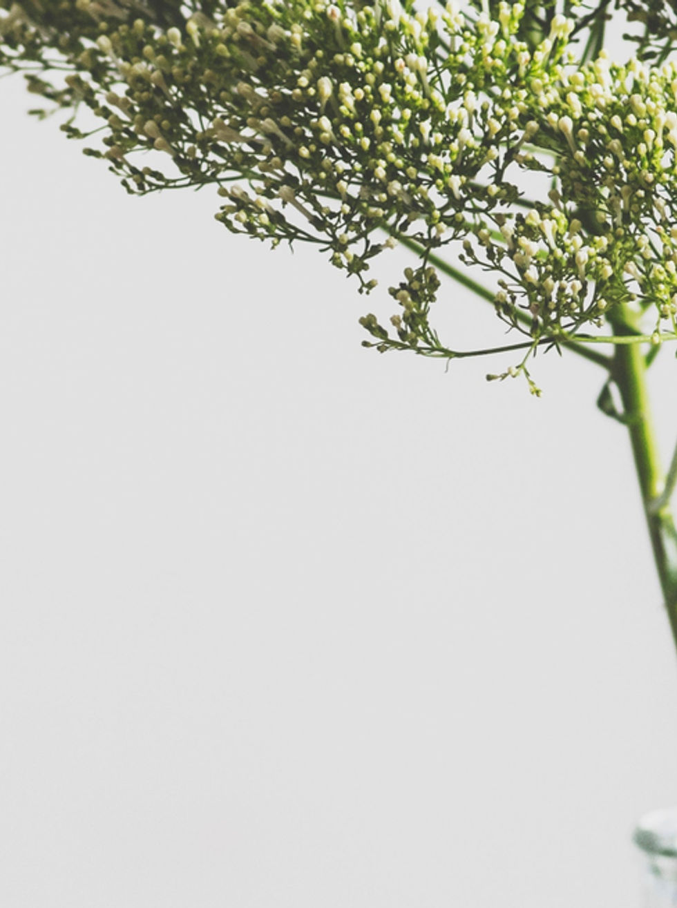 Flowers in Glass Jar