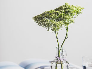 Flowers in Glass Jar