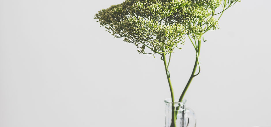 Flowers in Glass Jar