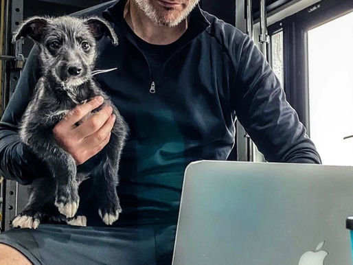 Is it even a gym if it doesn't have a "Gym Dog"!