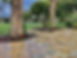 Unknown-10.jpeg