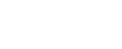 Accent Flair logo