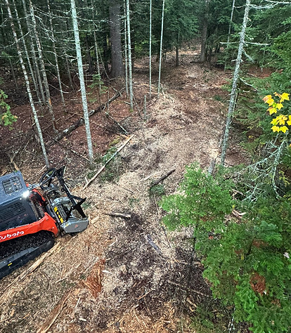 Food plot, shooting lanes, tree cutting, brush cutting