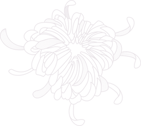 Flower Outline