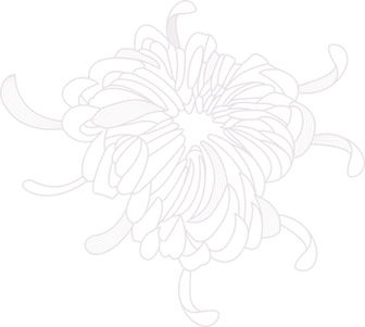 Flower Outline