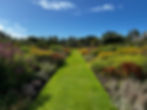 IMG_2311.jpeg