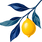 citrons2_edited_edited.png