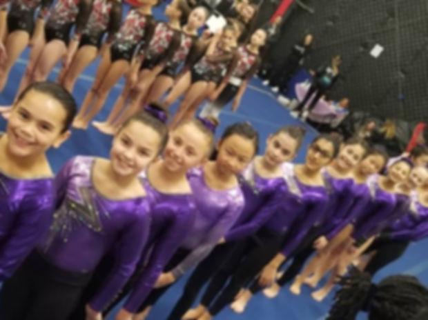 Progressive Athletic Center Gymnastics