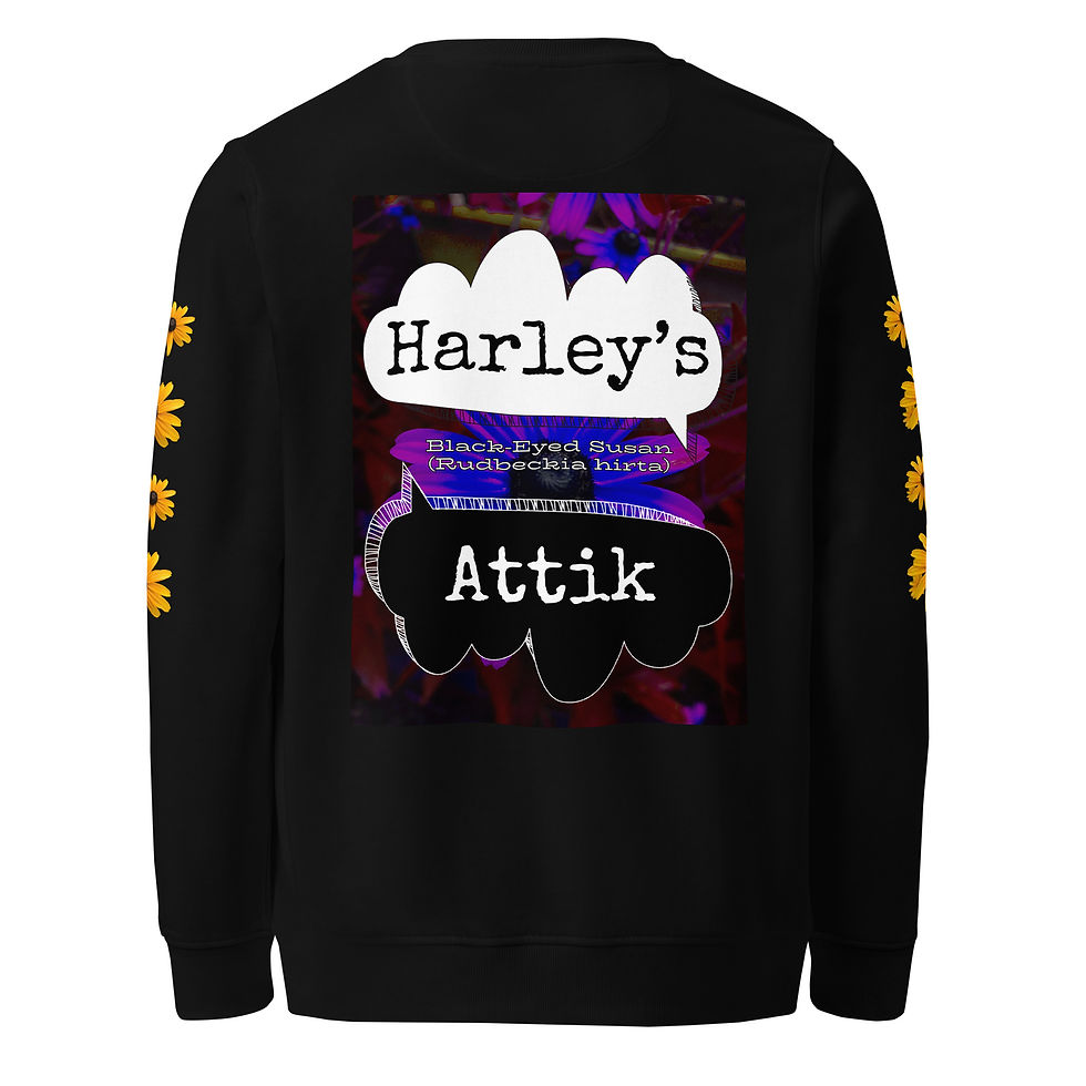 Thumbnail: N2 Me: Black-Eyed Susan Solo - Breathe Unisex Jumper