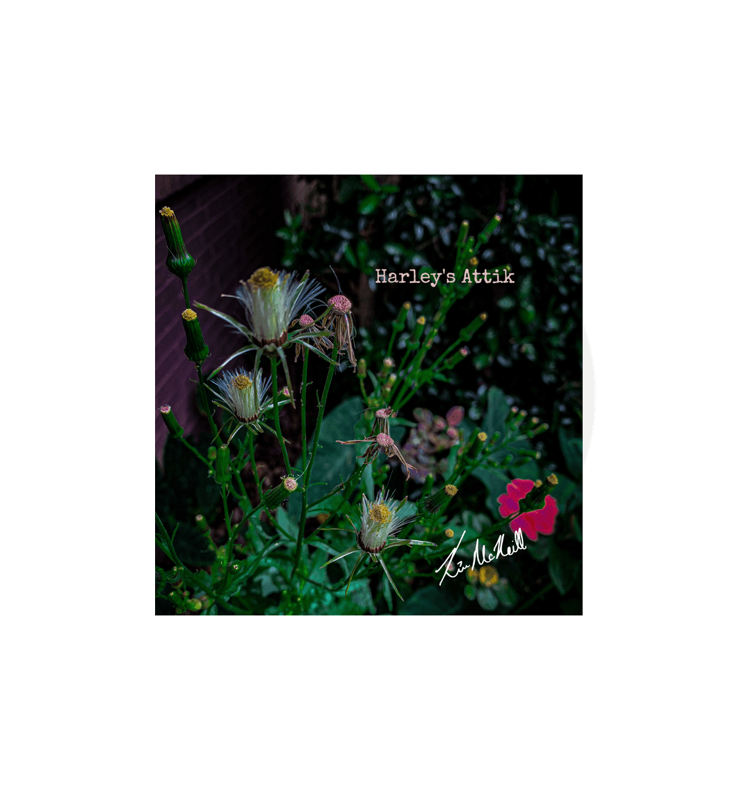 Naked American Burnweed Dark Edit - Circle Sticker