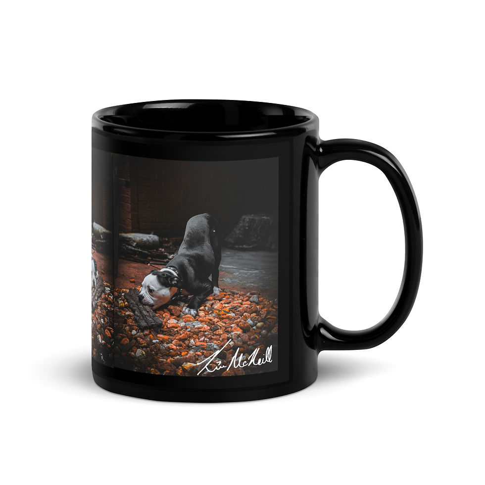 Thumbnail: Xena on the Rocks Black Glossy Mug