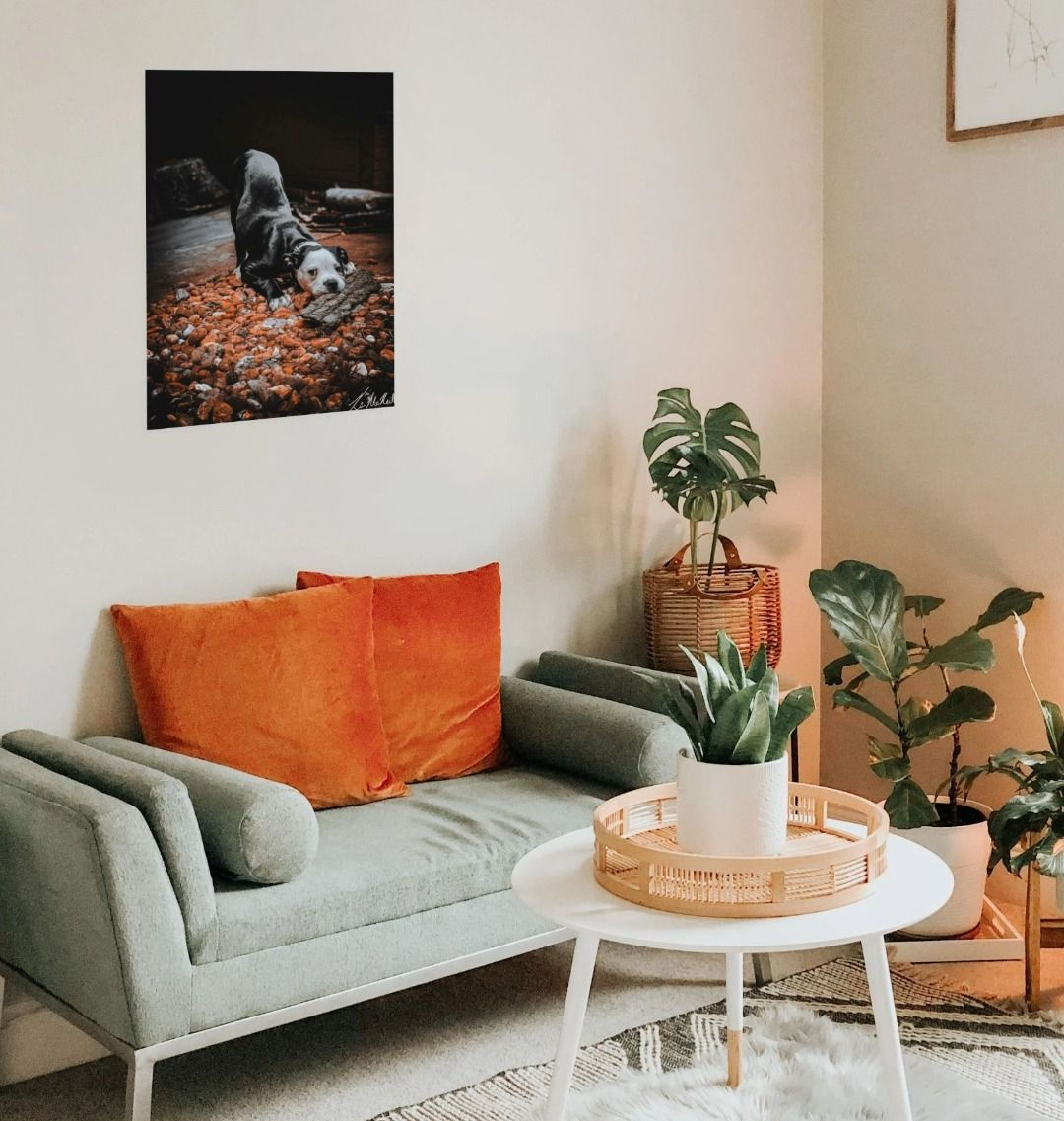 Xena on the Rocks - Large Portrait Art Print