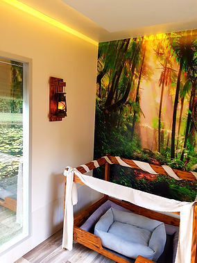 Luxury dog boarding Port Douglas, Mossman, Mareeba  and Cairns regions. Each Guest has their own private cabin, private balcony, private outdoor grass area, four poster bed, flat screen tv,  window with beautiful views. All day access to supervised lead free common areas.