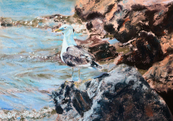 Seaside Sentinel