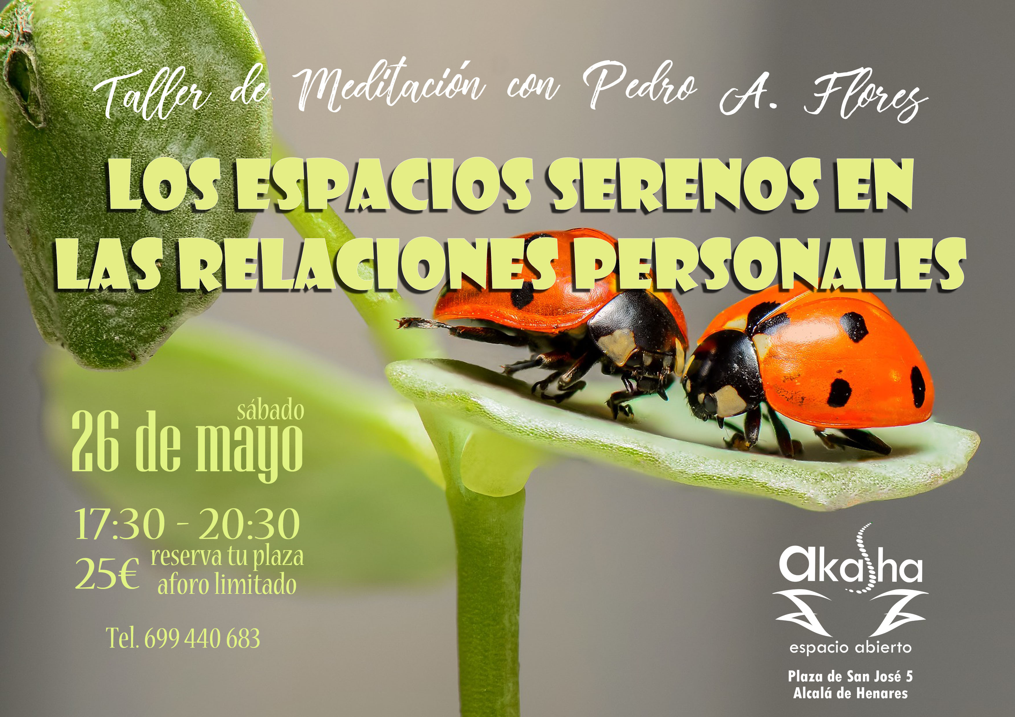 meditacion4