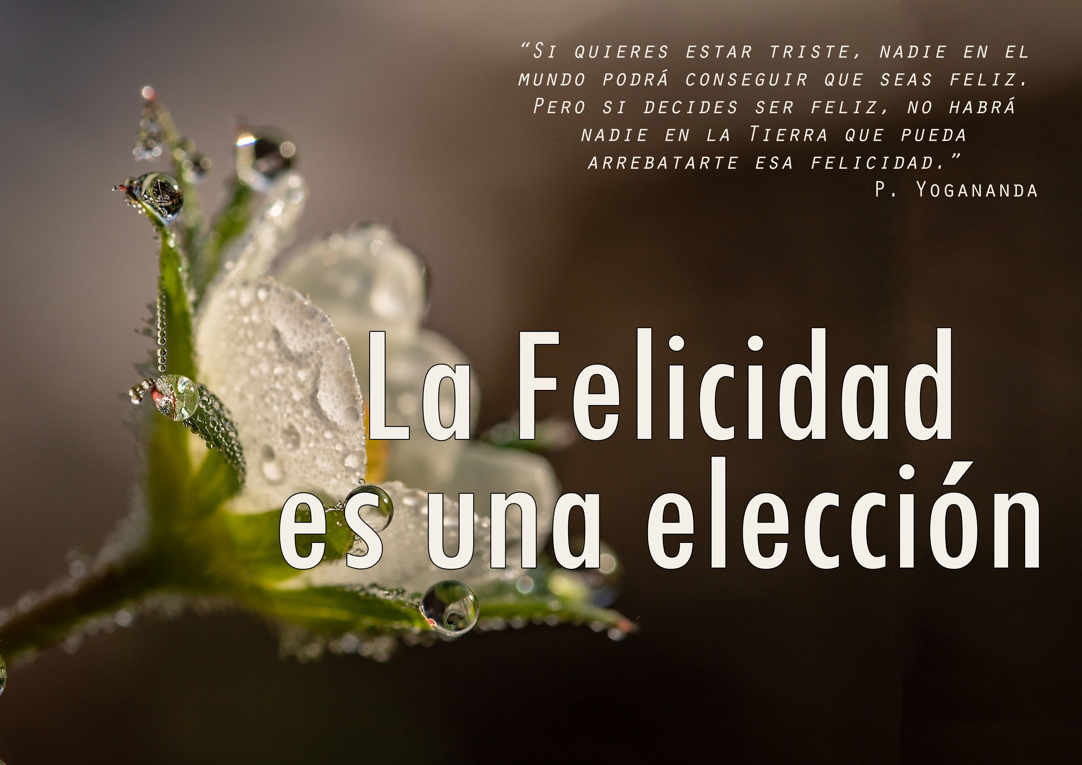 felicidad