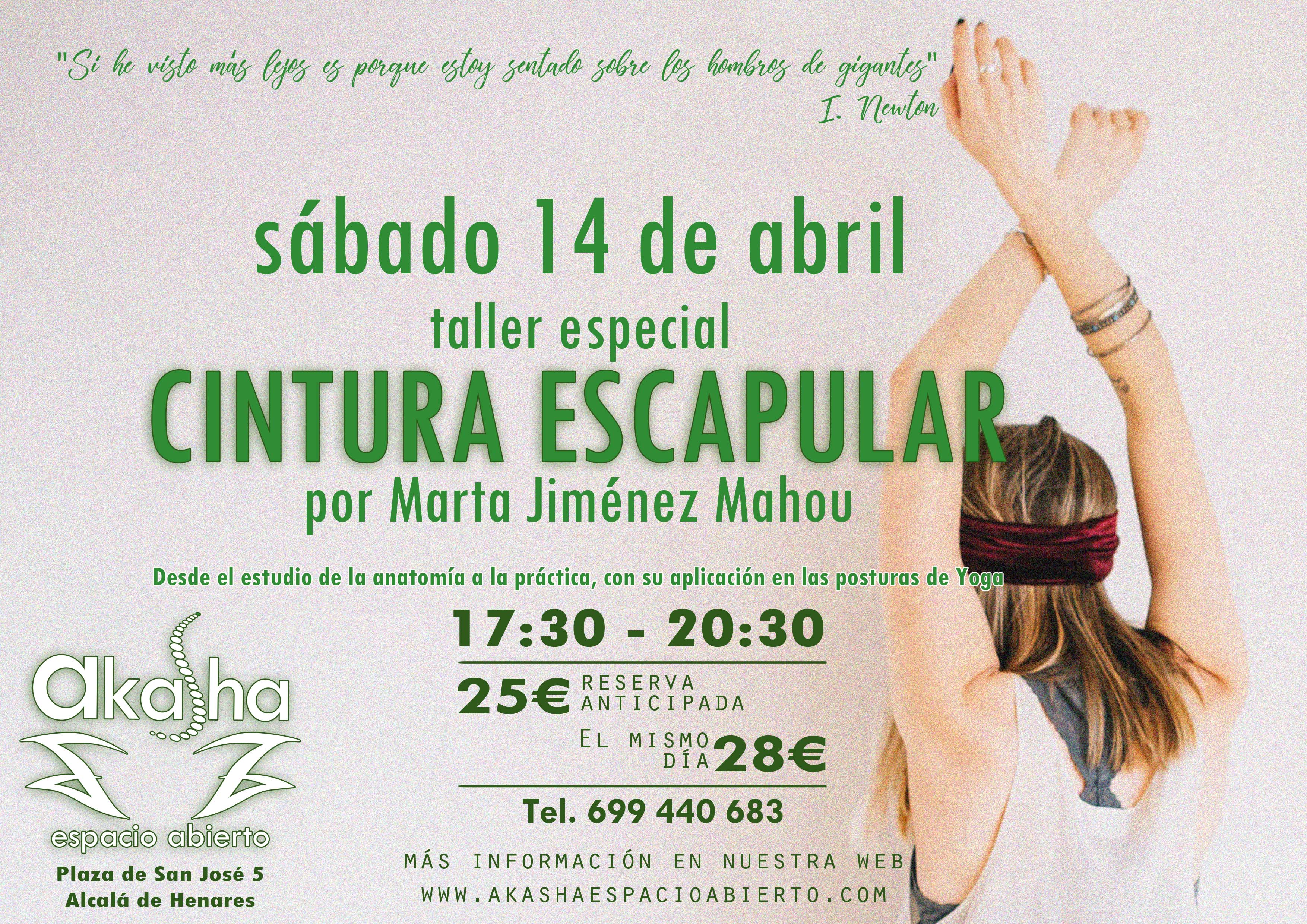 cintura escapular