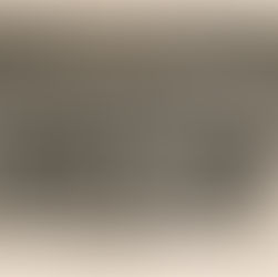 JR.29 'Von Horn'- Sic Transit Gloria Mundi; Mors Ultima Ratio 