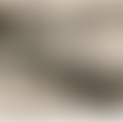 Gerbirgsjäger returning to the chalet