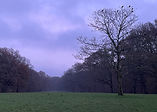 IMG_3644.JPG
