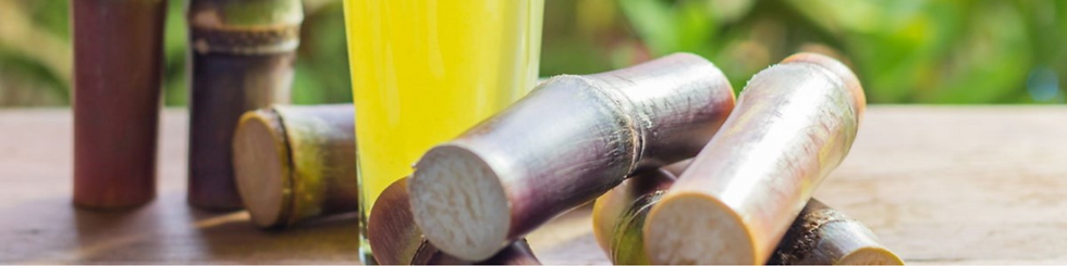 Untitled design (16).png