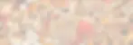 BACKGROUND copy.webp