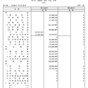 사단법인 더가치할개 재무재표(2025년)