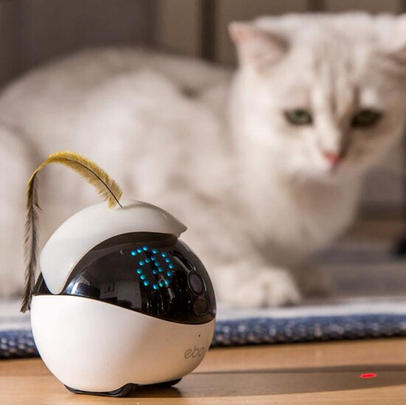 This Incredible Robot Cat Toy Will Keep Your Kitty Entertained for Hours