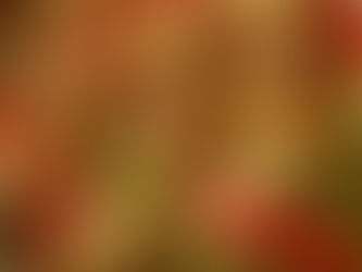 סיר של השמחות קציצות עוף עם אפונה ברוטב משגע ובקלי קלות תתכוננו להתאהב - מתכונים מהרשת