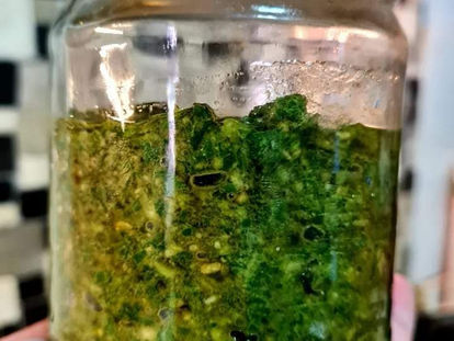 ממרח פסטו מהיר וטעים - במטבח עם דיתוש