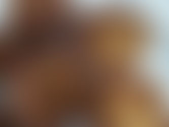 מתכון משגע קציצות חזה עוף רכות ועסיסיות שמכינים ברגע - מימי בכר